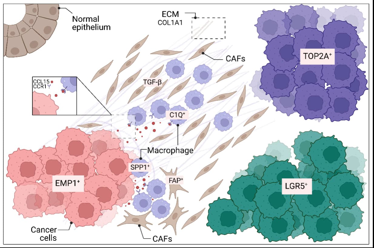 Publication section intro image