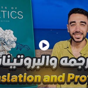 البوتكامب الأكاديمي آفاق