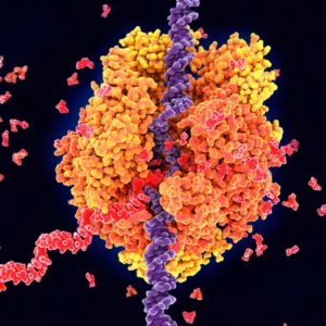 Molecular Biology 101