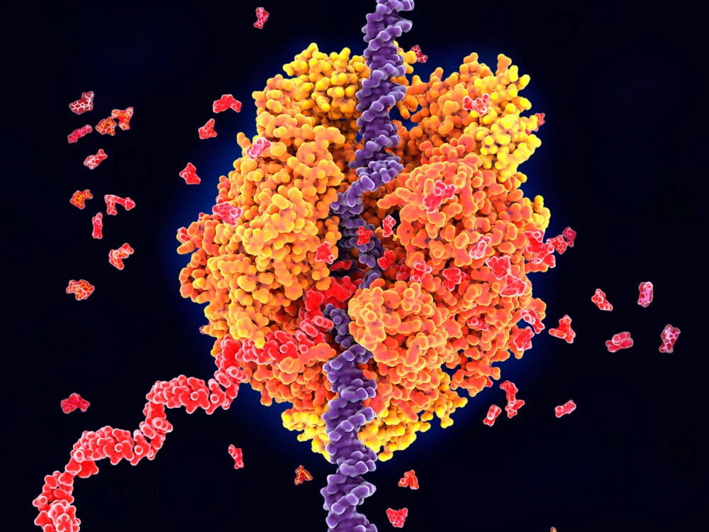 Molecular Biology 101