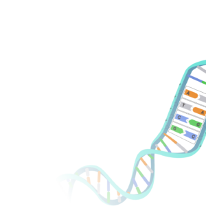 DNA Structure