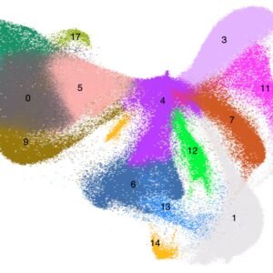 Single Cell RNA-seq