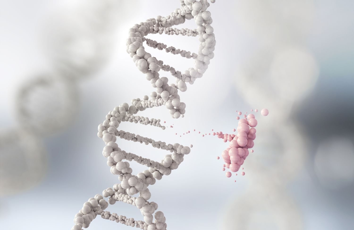 Group 11 project figure — TP53 mRNA