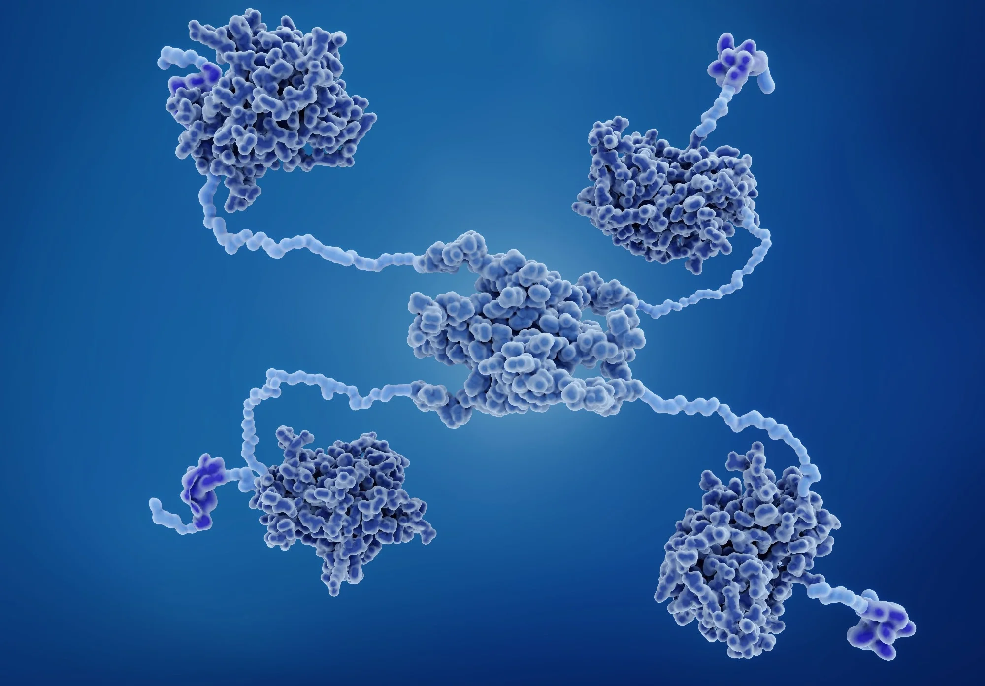 Group 4 project figure — TP53 gene